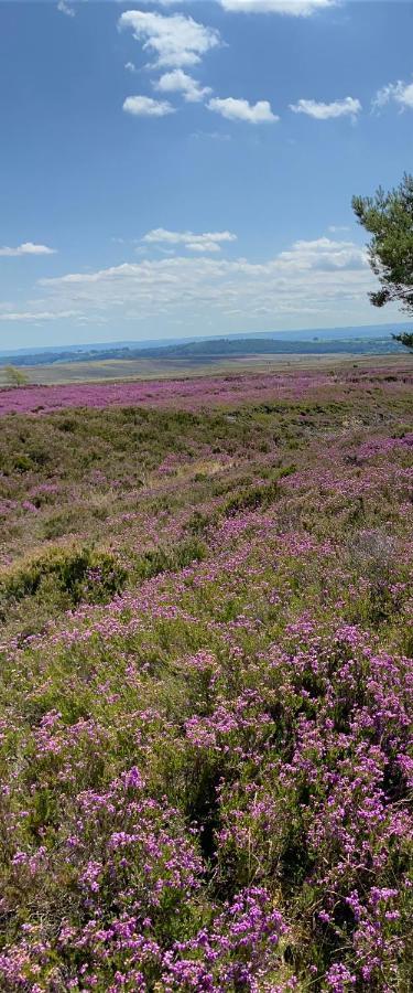 مبيت وإفطار Danby Floyter House North Yorkshire Moors National Park المظهر الخارجي الصورة