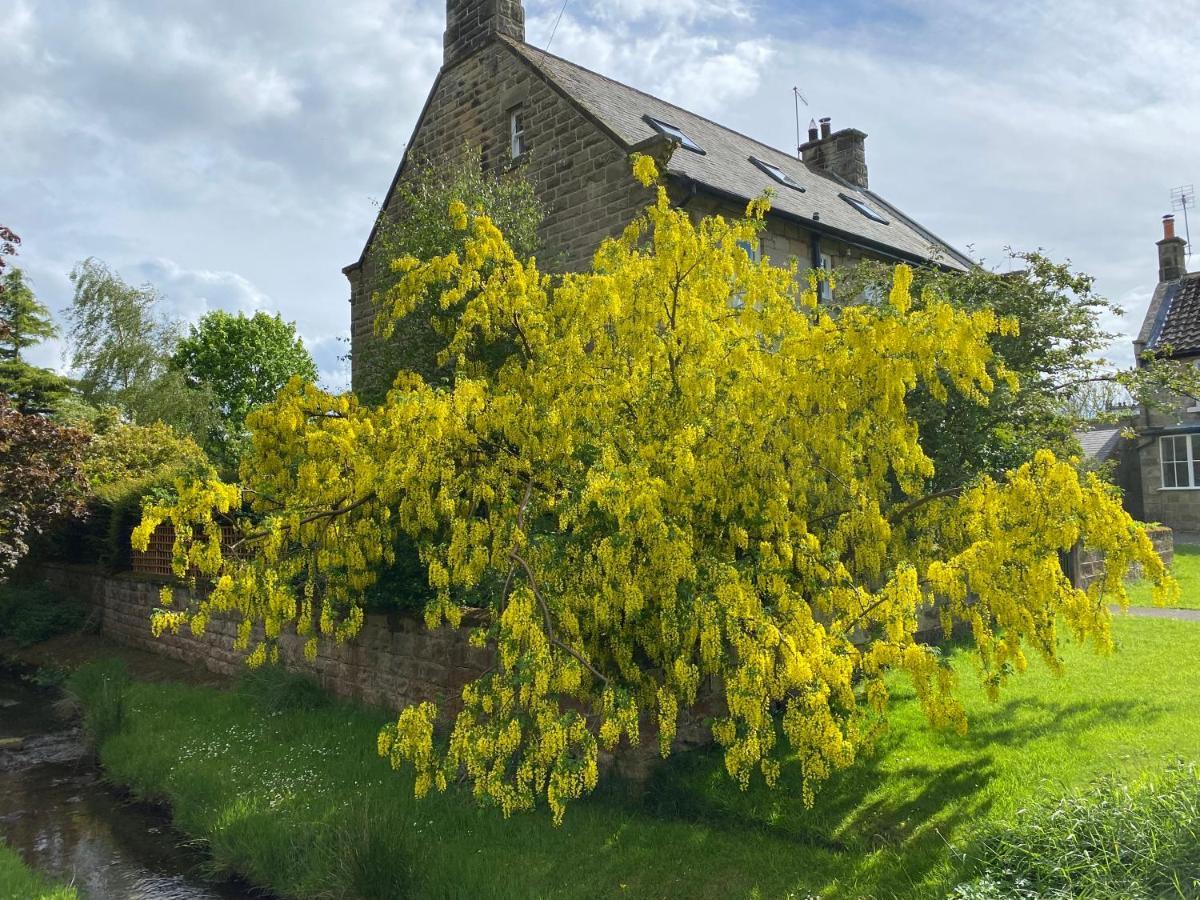 مبيت وإفطار Danby Floyter House North Yorkshire Moors National Park المظهر الخارجي الصورة